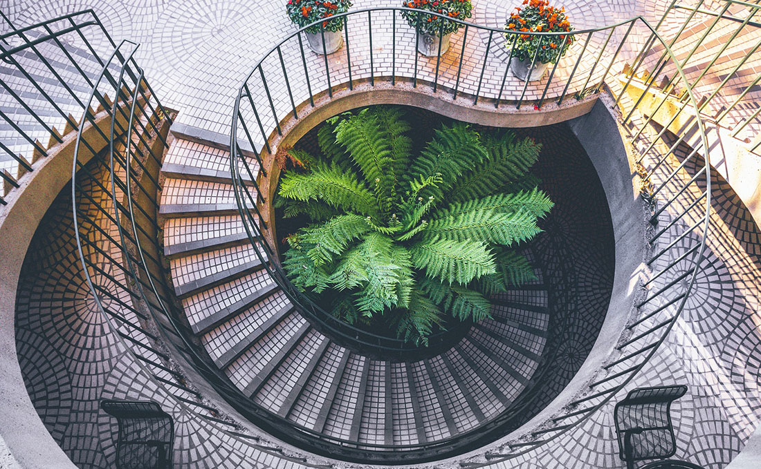 Eine Palme steht im engen Lichtschacht einer gefliesten Wendeltreppe, Draufsicht