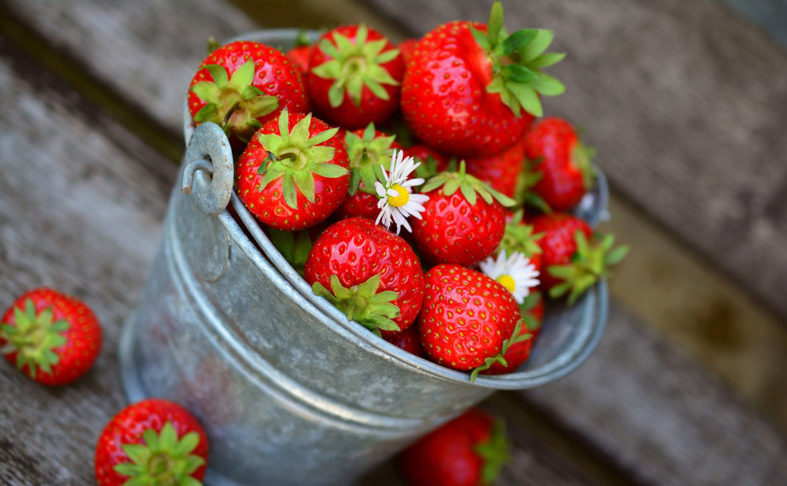 Vintage-Eimer prall gefüllt mit reifen Erdbeeren, drei Erdbeeren liegen daneben